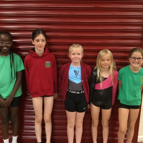 Summer Term Gymnastic Competition